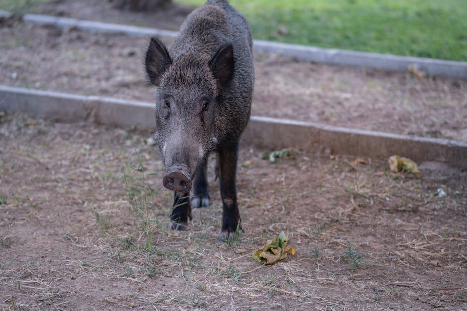 儲蓄保險：讓錢包深呼吸的秘密武器