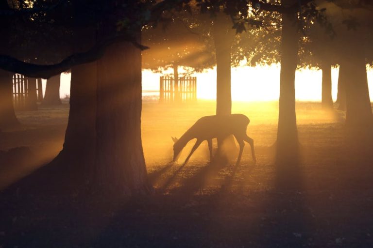 前列腺癌末期症狀：掌握關鍵訊號，積極面對挑戰